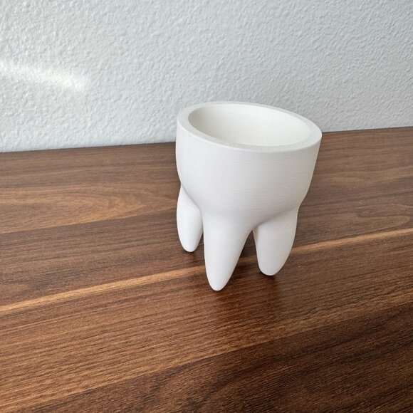3D Printed Tooth Succulent Pot – Minimalist White Planter, Dental Decor - Picture 2 of 5